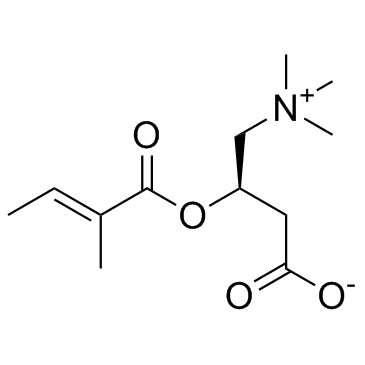 Tiglyl carnitine Chemical Structure