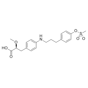 PPAR agonist 1 化学構造