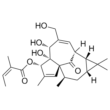 Ingenol Mebutate (Ingenol 3-angelate) Chemische Struktur
