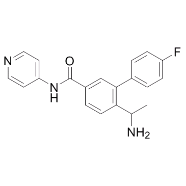 ROCK-IN-1 Chemical Structure