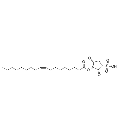 Sulfosuccinimidyl oleate 化学構造