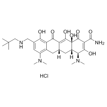 Omadacycline hydrochloride (PTK0796 hydrochloride) Chemical Structure
