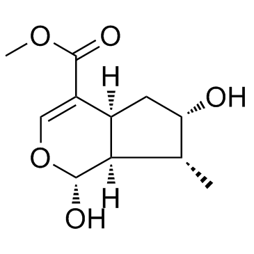 Loganetin Chemical Structure
