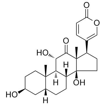 Arenobufagin التركيب الكيميائي