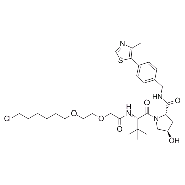 E3 ligase Ligand-Linker Conjugates 10 化学構造