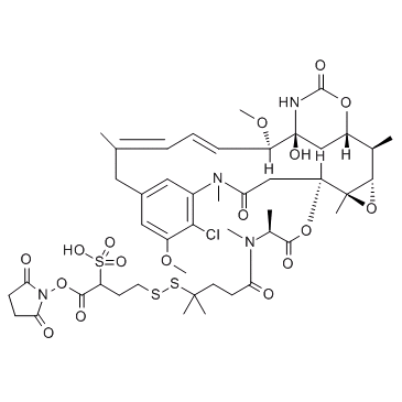 sulfo-SPDB-DM4 化学構造