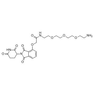 E3 Ligase Ligand-Linker Conjugates 21 化学構造