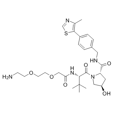 E3 ligase Ligand-Linker Conjugates 6 Free Base Chemische Struktur