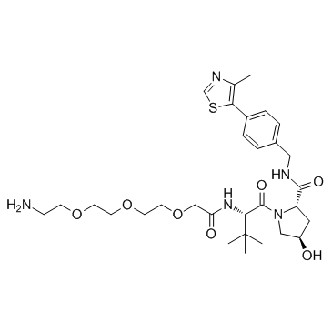 E3 ligase Ligand-Linker Conjugates 5 Free Base Chemische Struktur