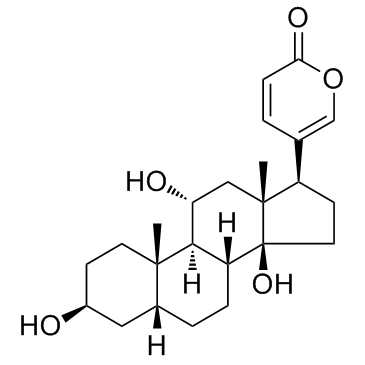 Gamabufotalin (Gamabufagin) 化学構造