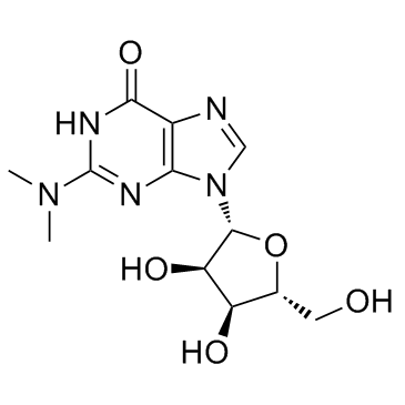 N2,N2-Dimethylguanosine 化学構造
