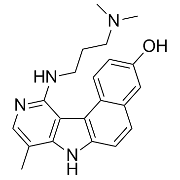 Intoplicine  Chemical Structure