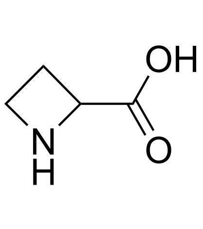 Azetidine-2-carboxylic acid 化学構造