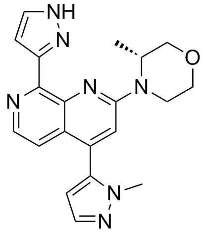 BAY-1895344 化学構造