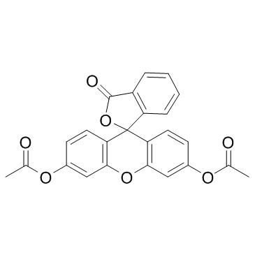 Fluorescein Diacetate (3,6-Diacetoxyfluoran) Chemische Struktur