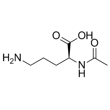 N-Acetylornithine 化学構造
