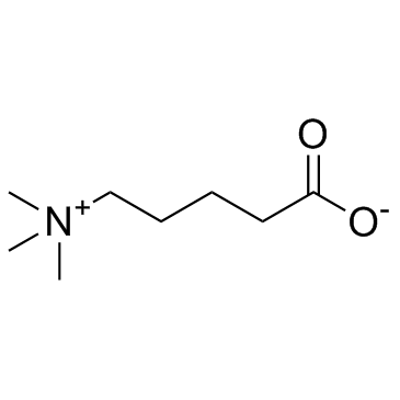 delta-Valerobetaine 化学構造