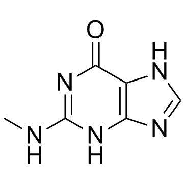 2-(Methylamino)-1H-purin-6(7H)-one (N2-methylguanine)  Chemical Structure