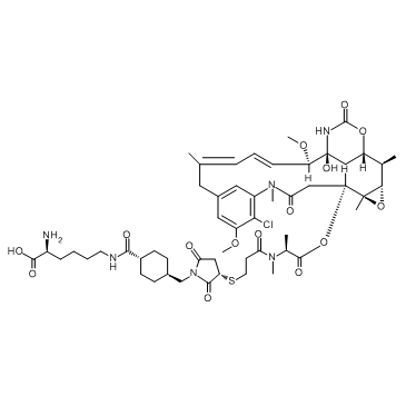 Lys-SMCC-DM1 (Lys-Nε-MCC-DM1) 化学構造