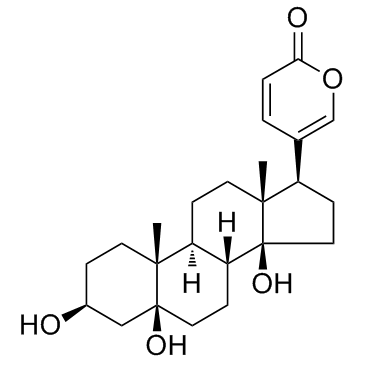 Telocinobufagin (Telobufotoxin) التركيب الكيميائي