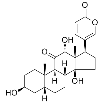 Pseudobufarenogin (ψ-Bufarenogin) Chemical Structure
