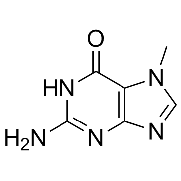 7-Methylguanine 化学構造