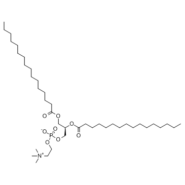 DPPC (129Y83) Chemische Struktur