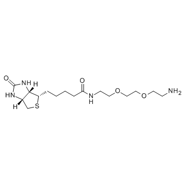 Biotin-DADOO (Biotinyl-3,6-dioxaoctanediamine) Chemische Struktur
