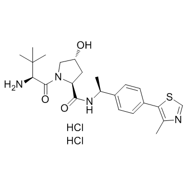 E3 ligase Ligand 1 dihydrochloride Chemical Structure
