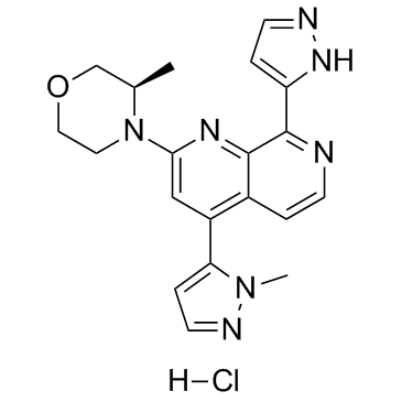 BAY-1895344 hydrochloride التركيب الكيميائي