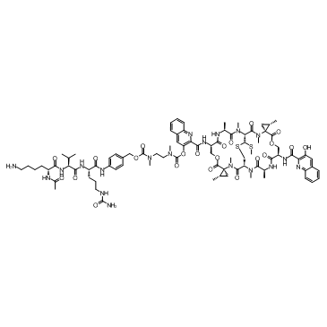 SW-163D-AcLysValCit-PABC-DMAE Chemische Struktur