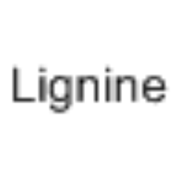 Lignine التركيب الكيميائي