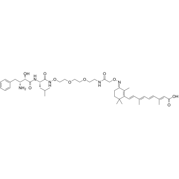 PROTAC CRABP-II Degrader-2 化学構造