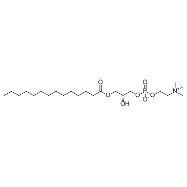 LysoPC(14:0/0:0) 化学構造