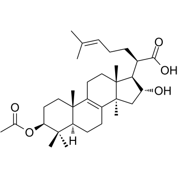 3-O-Acetyl-16α-hydroxytrametenolic acid Chemische Struktur