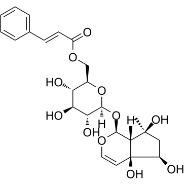 6'-O-Cinnamoyl harpagide 化学構造
