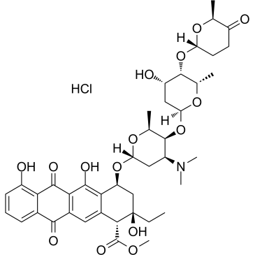 Aclacinomycin A hydrochloride  Chemical Structure