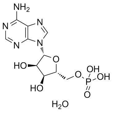 Adenosine 5'-monophosphate monohydrate التركيب الكيميائي