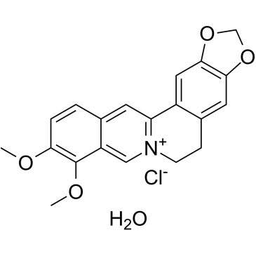 Berberine chloride hydrate  Chemical Structure