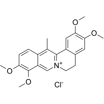 Dehydrocorydaline chloride 化学構造