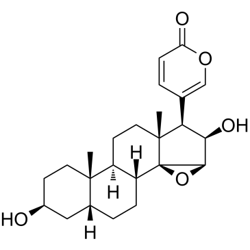 Desacetylcinobufagin 化学構造