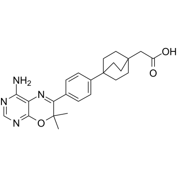 DGAT-1 inhibitor 2  Chemical Structure
