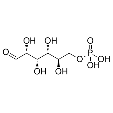 D-Glucose 6-Phosphate~1 M in H2O(260 mg/ml) التركيب الكيميائي