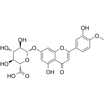 DiosMetin 7-O-β-D-Glucuronide Chemische Struktur