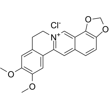 Epiberberine chloride Chemische Struktur