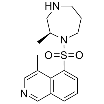 H-1152  Chemical Structure