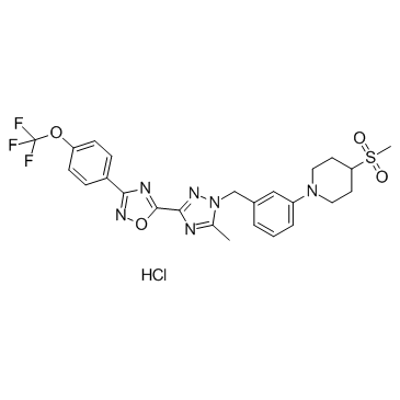 IACS-10759 Hydrochloride 化学構造