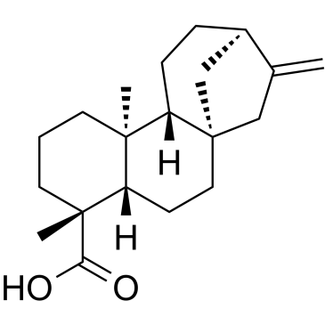Kaurenoic acid Chemische Struktur