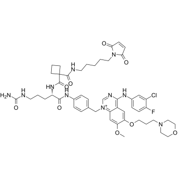 MC-Sq-Cit-PAB-Gefitinib Chemische Struktur