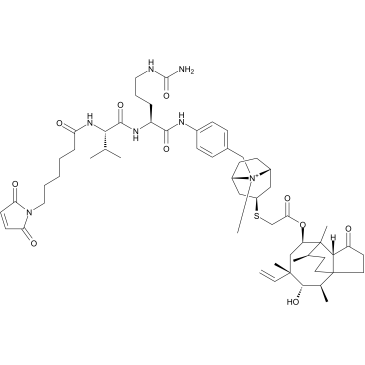 MC-Val-Cit-PAB-retapamulin 化学構造